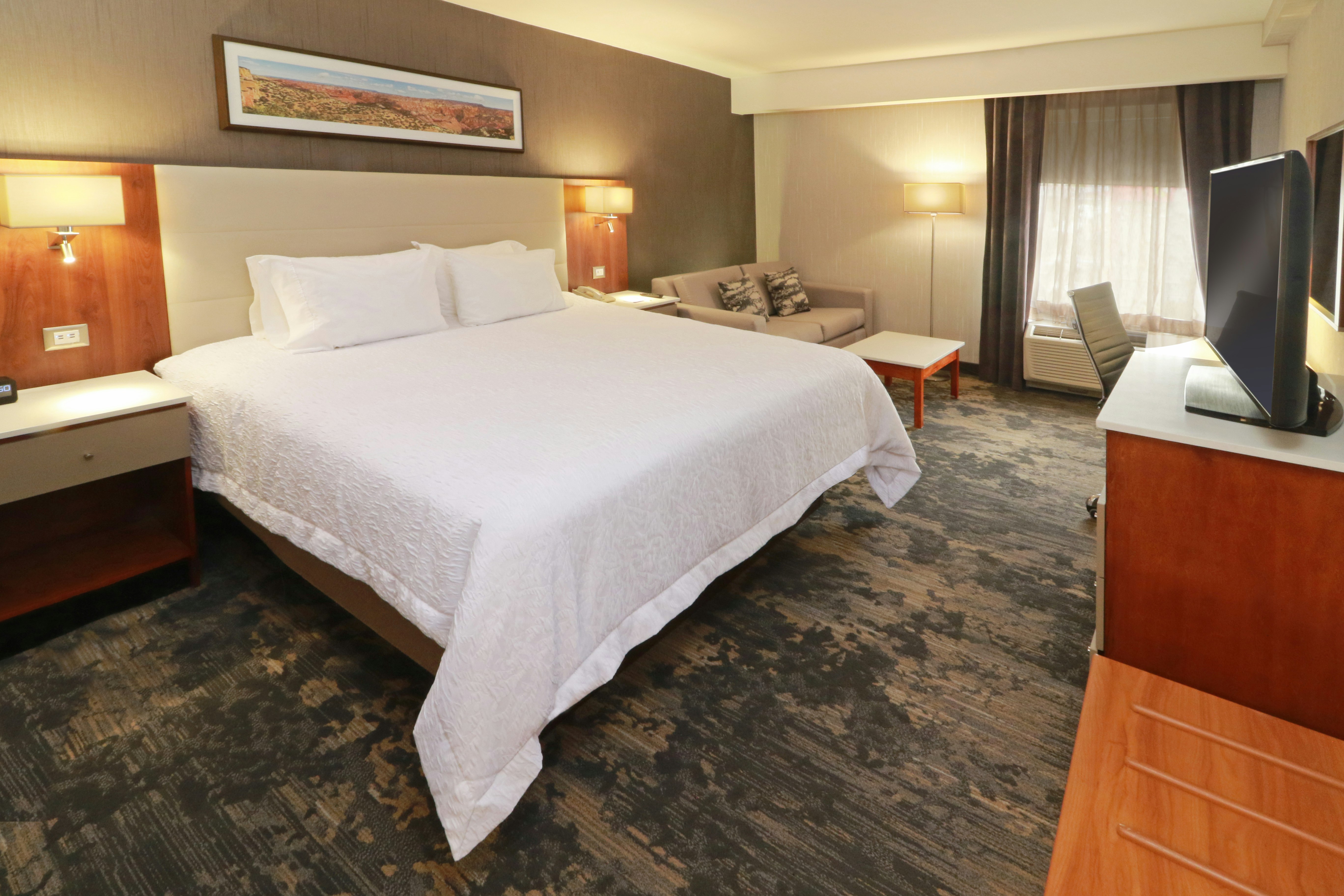Room, King Bed