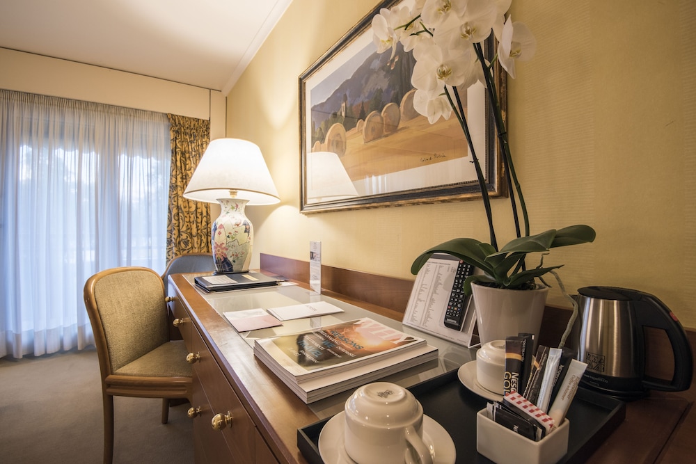 Royal Plaza Montreux Hotel 50/77
