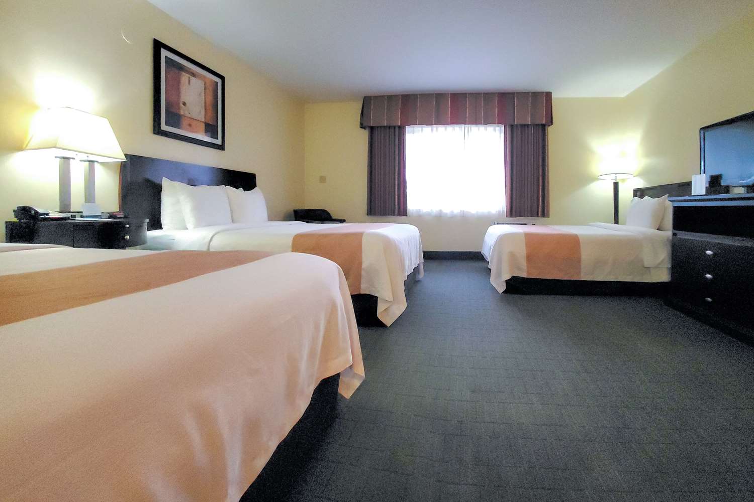 Quality Inn & Suites Anaheim at the Park 14/32