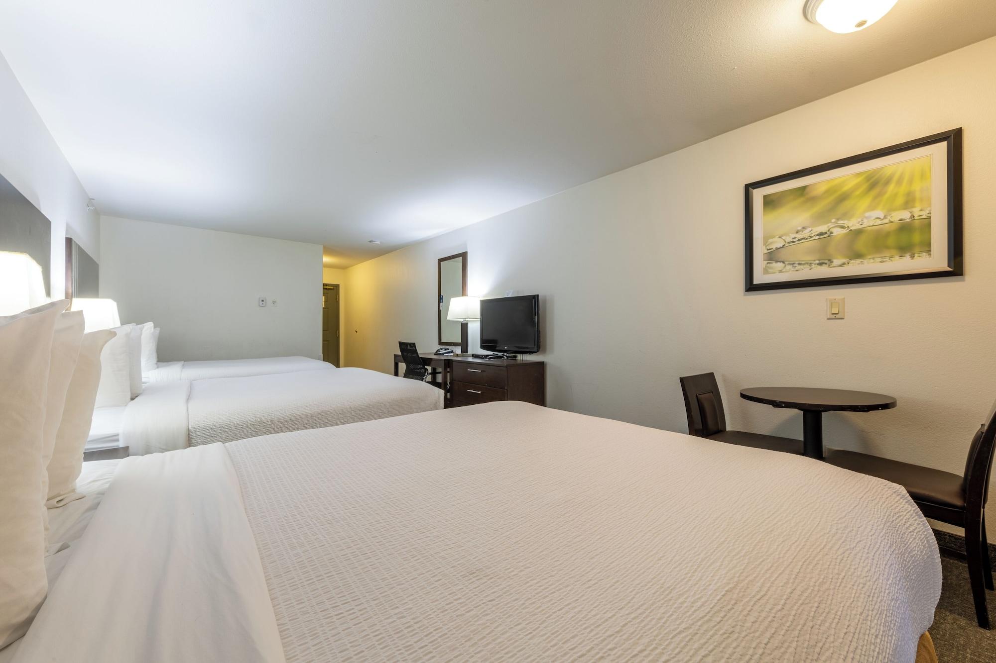 Room, Multiple Beds