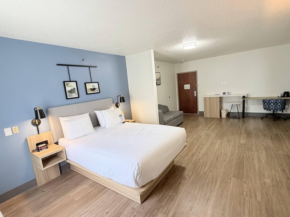 Suite, King and Queen Bed, Sofa