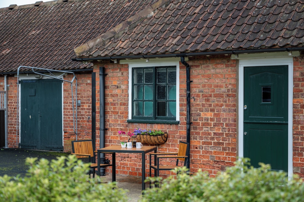 Stableside At York Racecourse 4/50