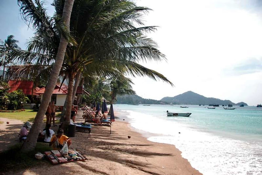 Palm Leaf Resort 43/54