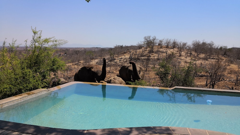 Mbizi Bush Lodge 13/50