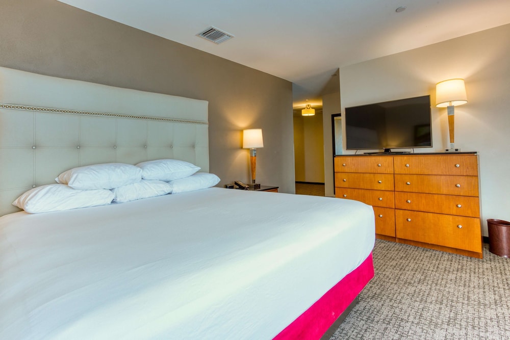 Drury Plaza Hotel San Antonio Riverwalk 14/43
