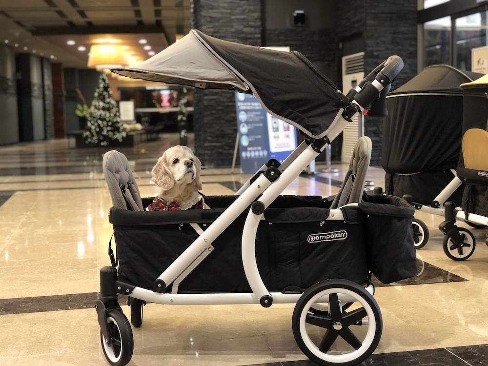 Kensington Resort Chungju 10/50