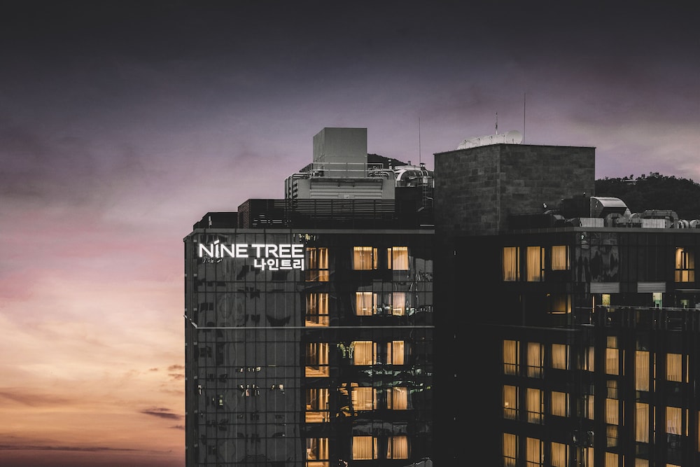Nine Tree by Parnas Seoul Insadong 3/70