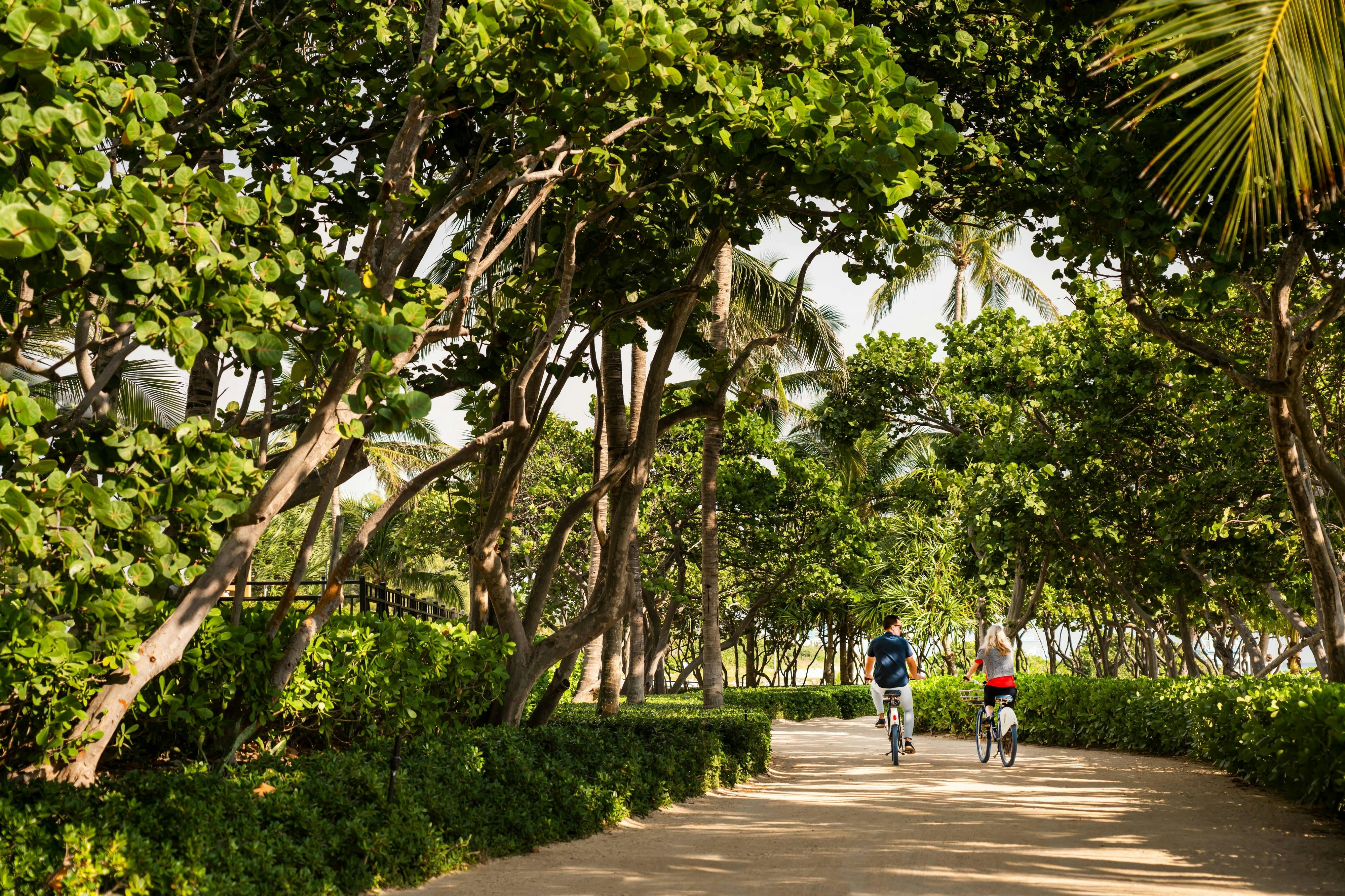 Ritz Carlton Bal Harbour 12/18