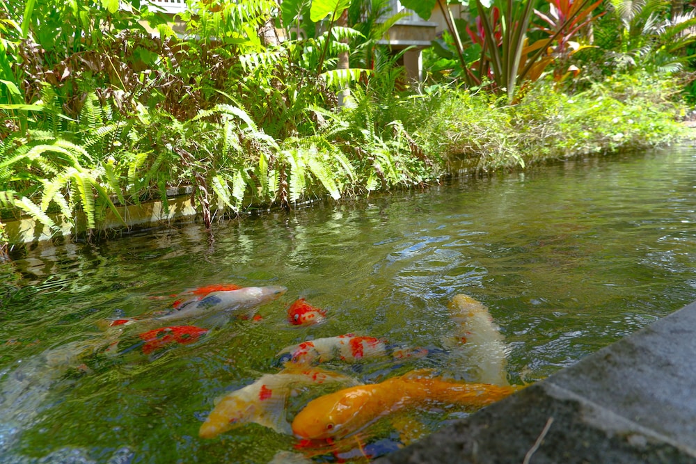 Garden View Ubud 34/50