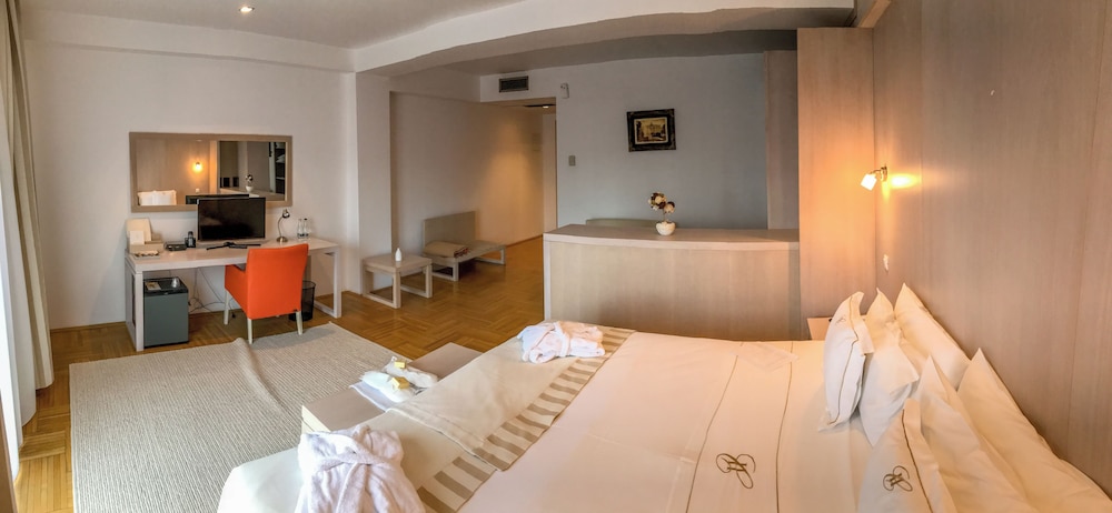 Hotel Satu Mare City 8/39