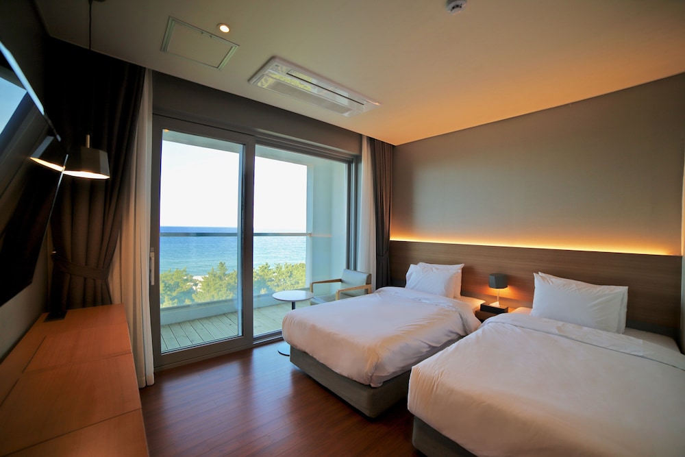 Avvio Hotel 16/50