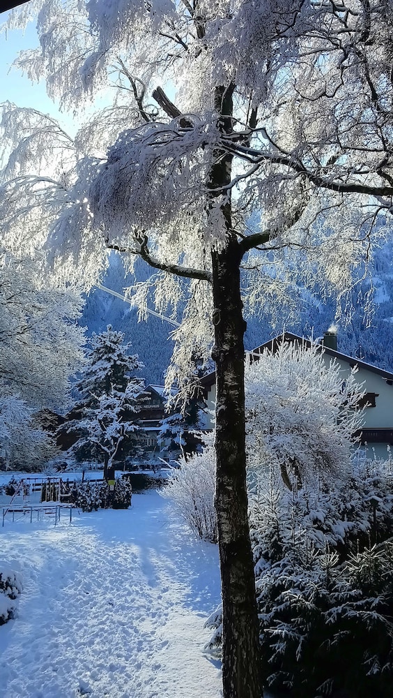 Pension Birkenhof 41/50