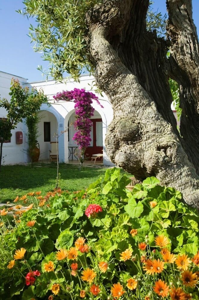 Masseria Torre Coccaro 8/55