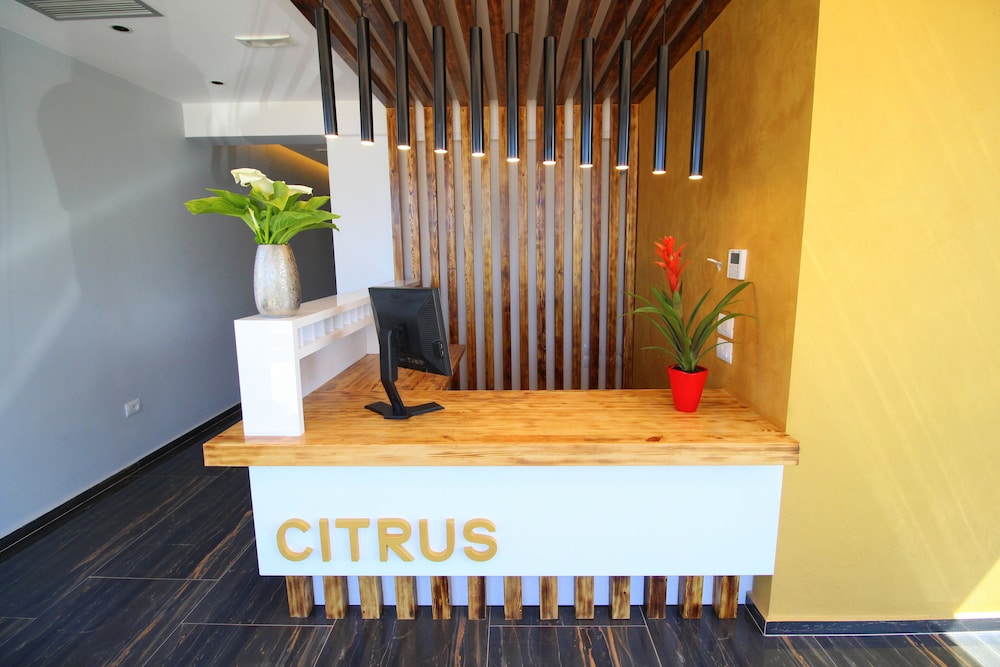 Hotel Citrus 4/37