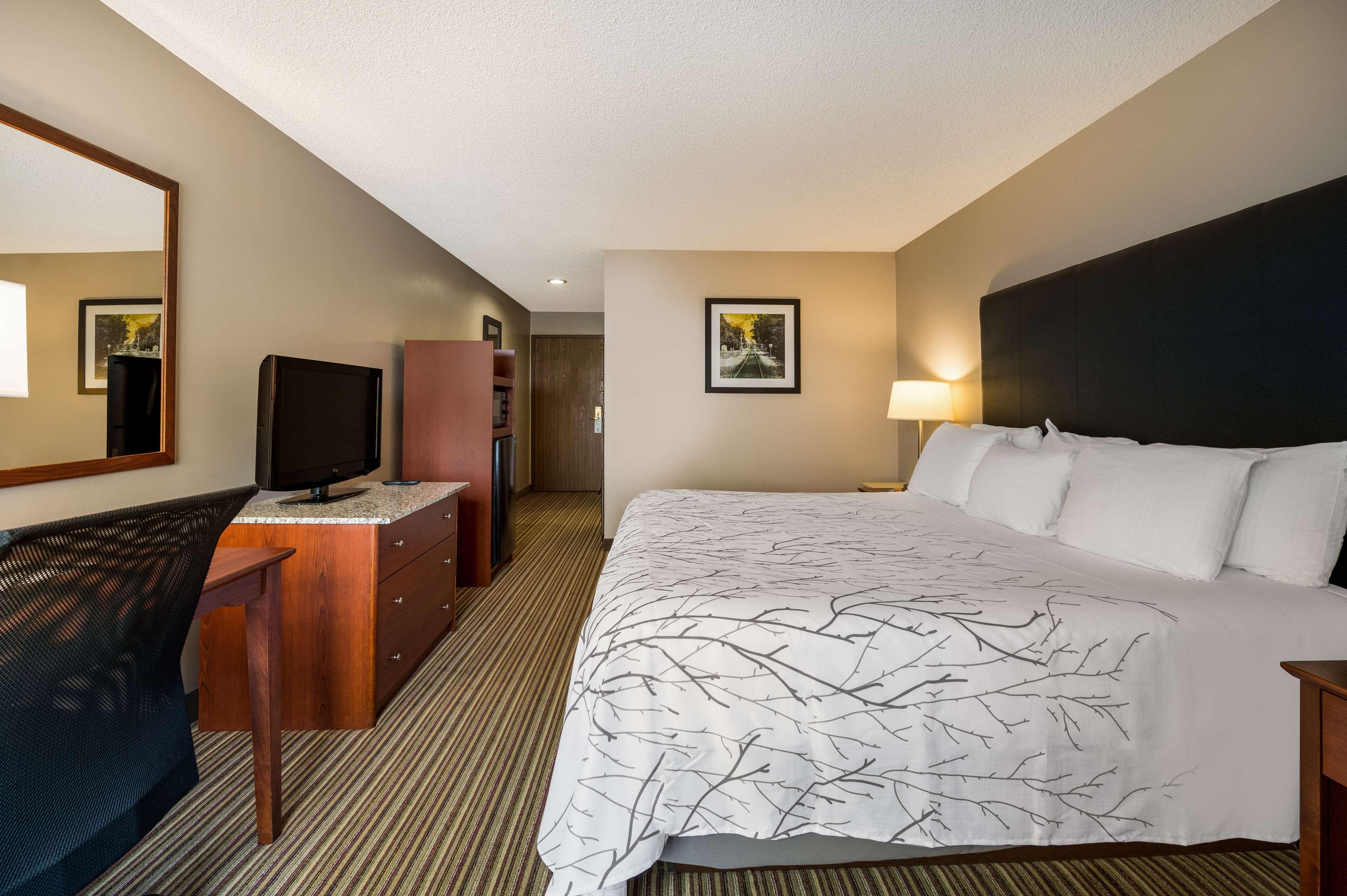 Room, King Bed, Accessible