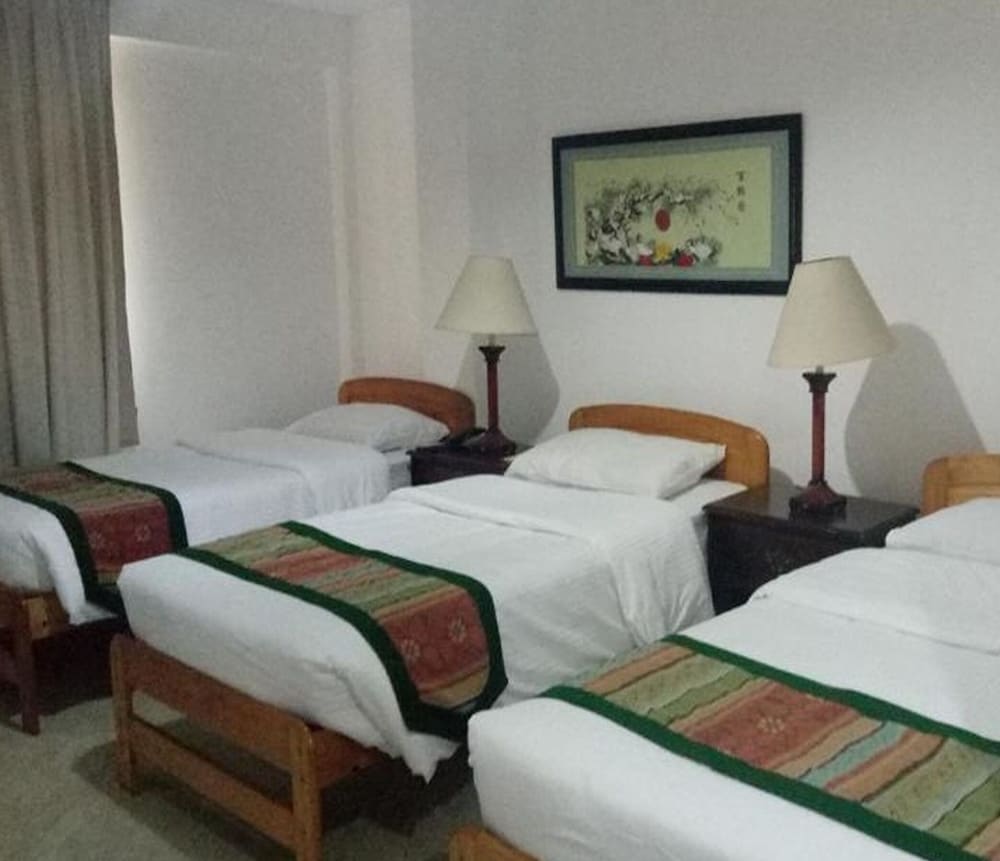Metro Vigan Inn 34/70