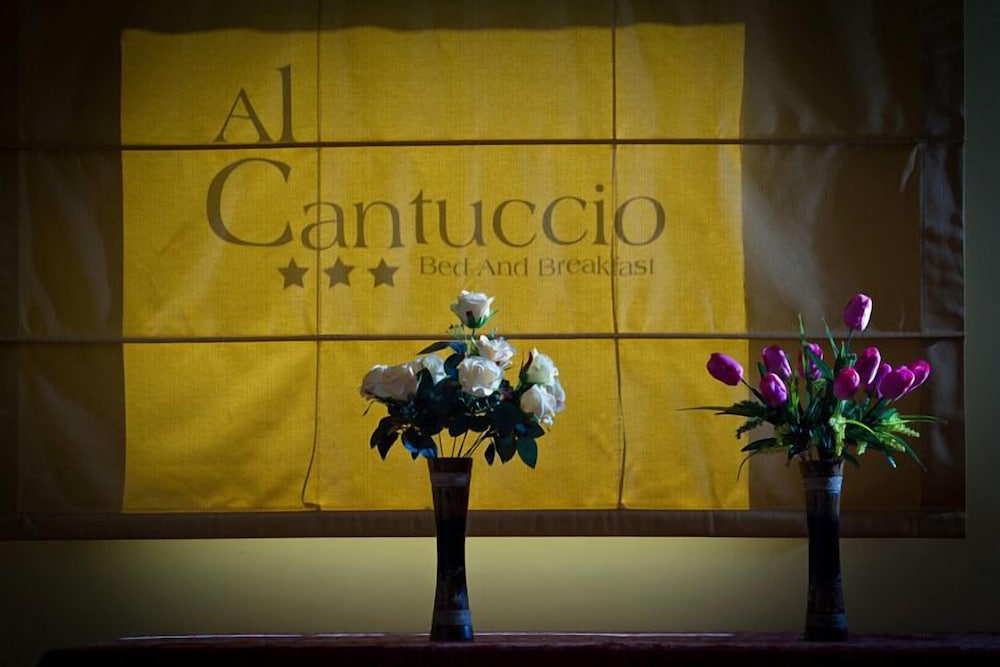 B&B Al Cantuccio 3/50