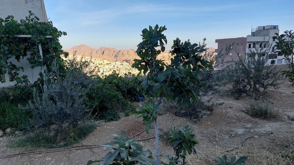 Petra Princes Hotel 40/50
