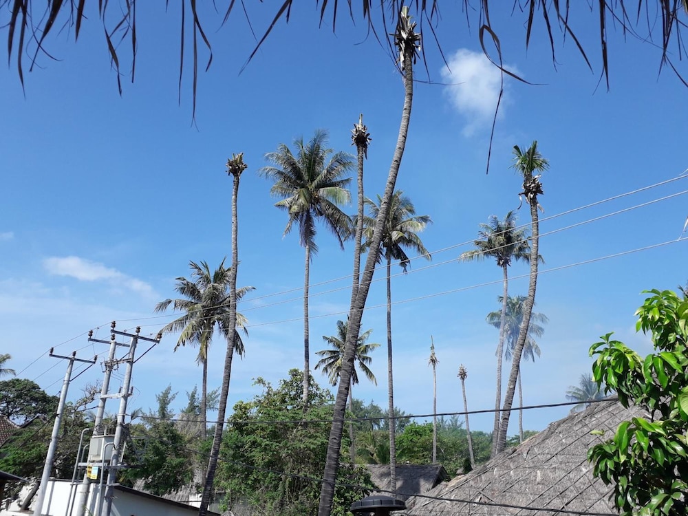 Fantastic Hostel Gili 42/49
