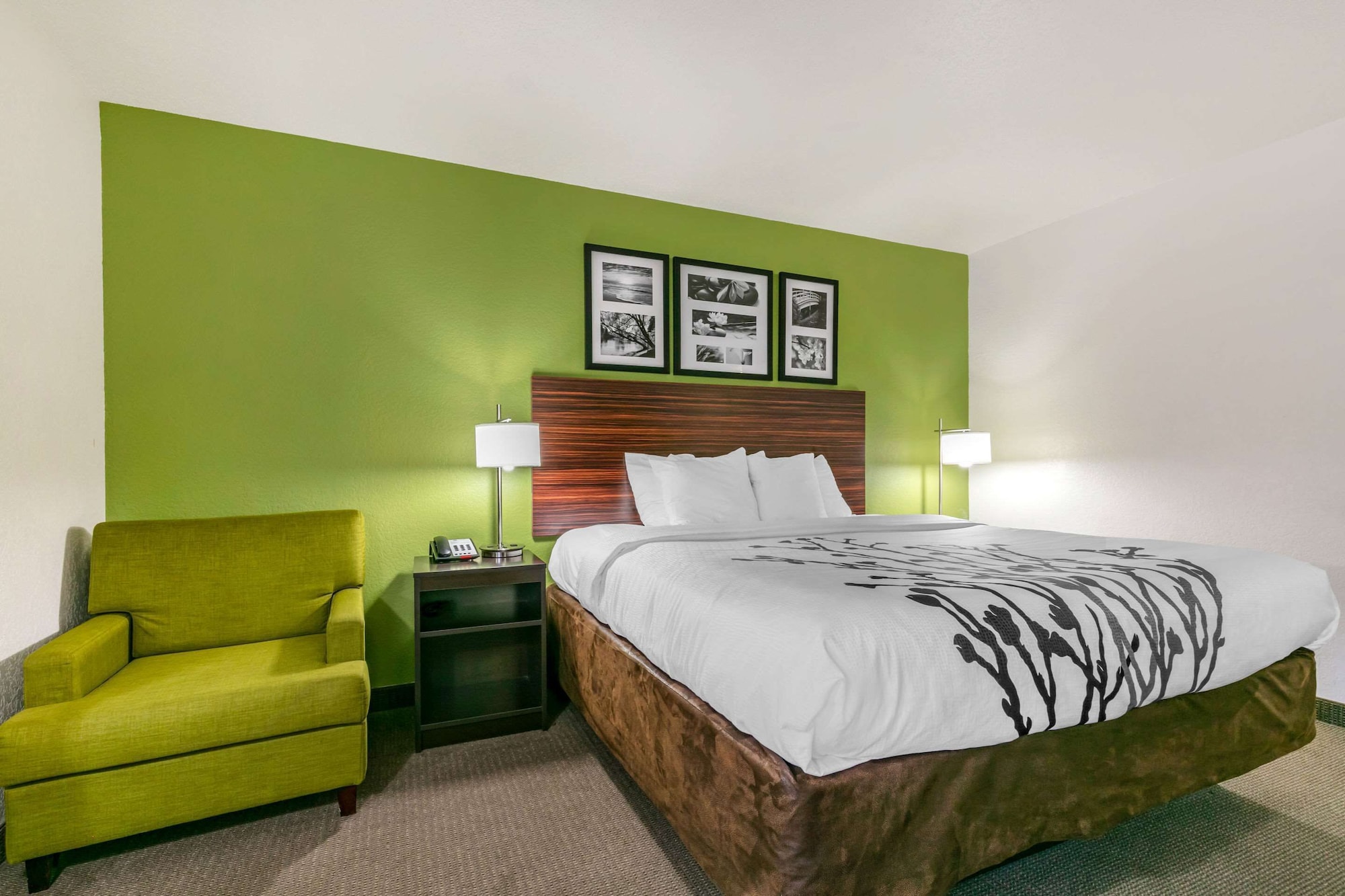 ROOM, KING BED, ACCESSIBLE