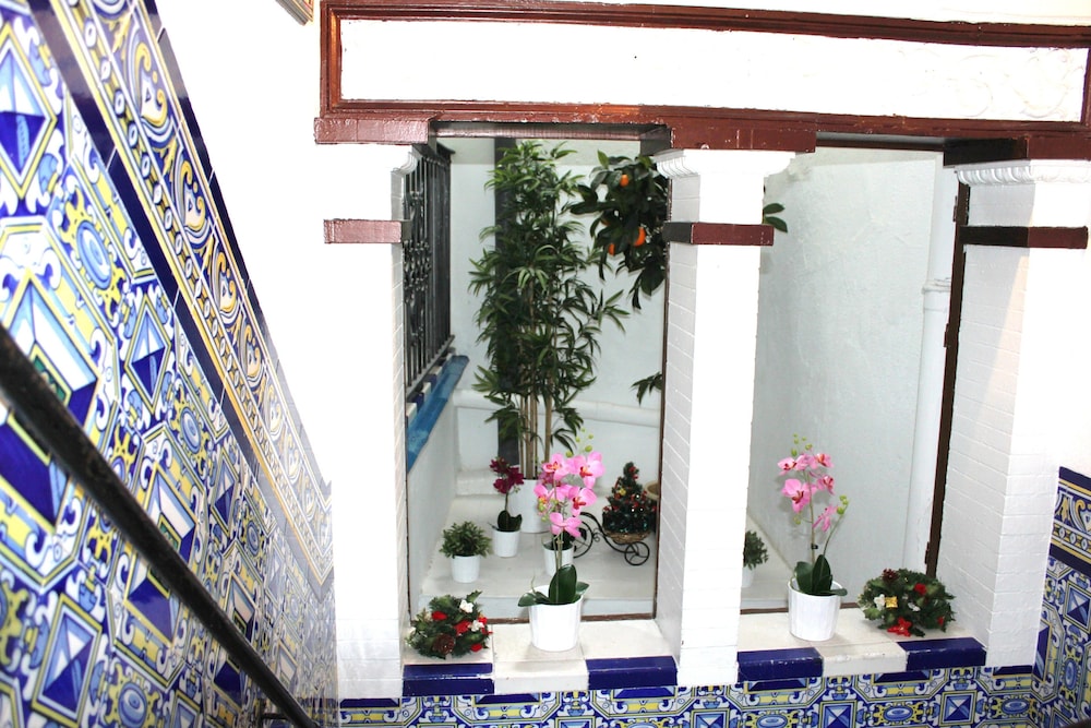 Pension Giraldilla 5/67