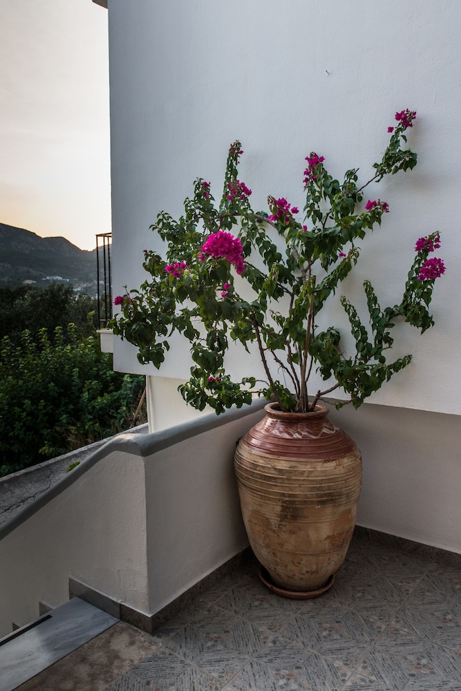 Villa Maria 写真2
