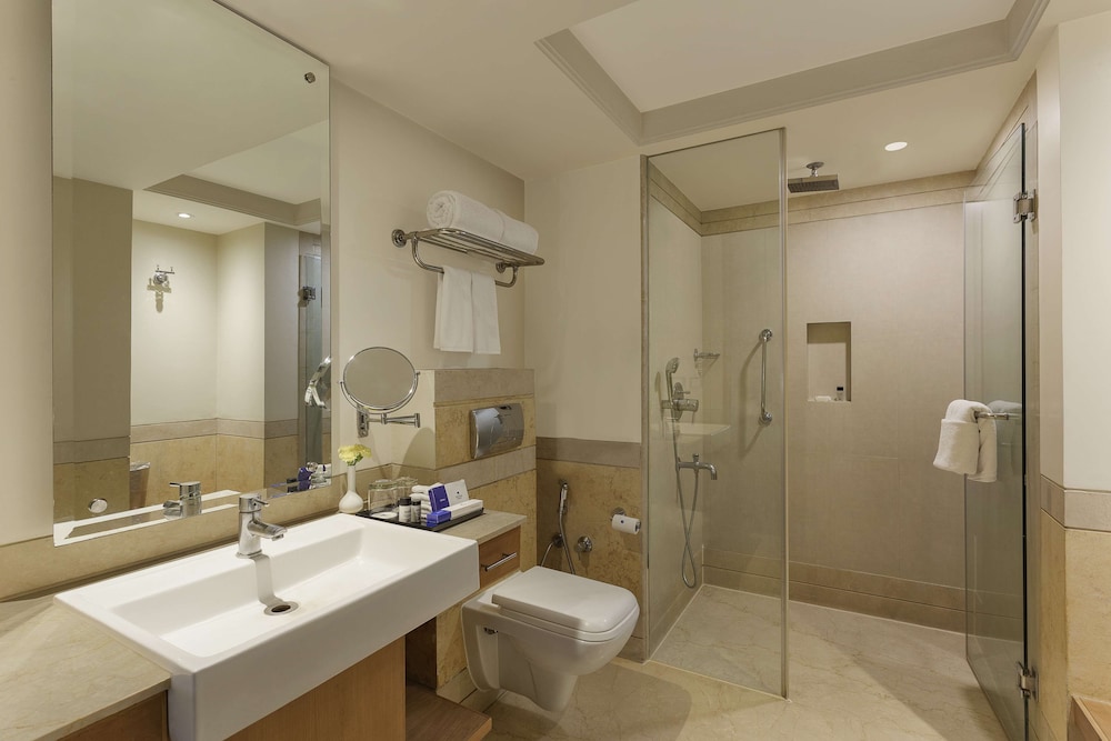 Park Plaza - Ludhiana 25/79