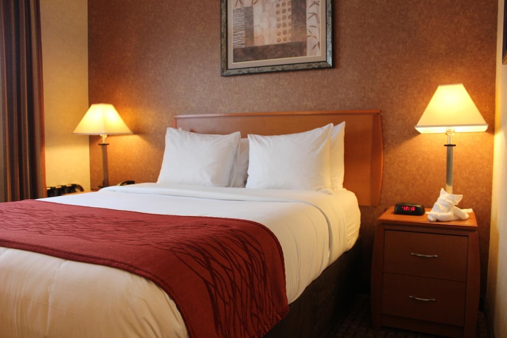 Comfort Inn Bellerose 9/46