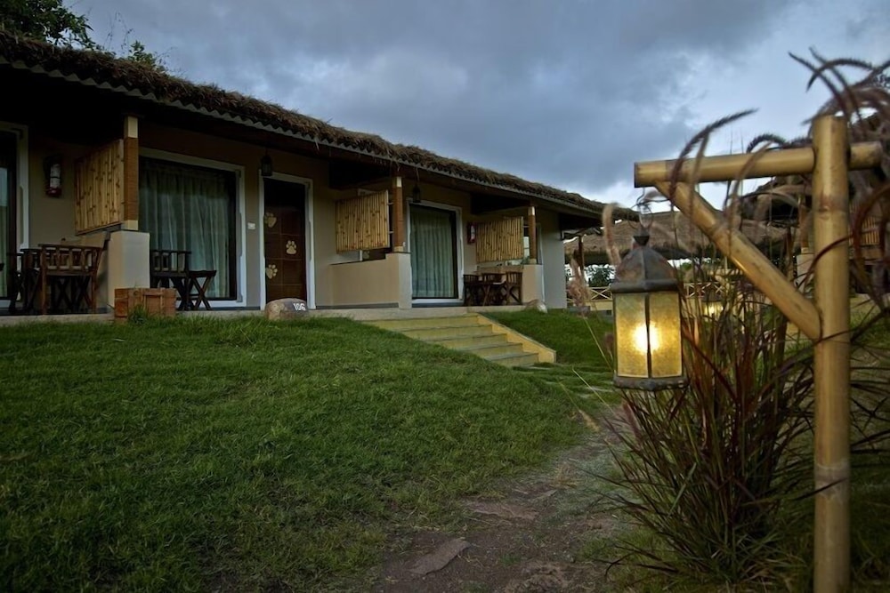 Asiatic Lion Lodge 33/50