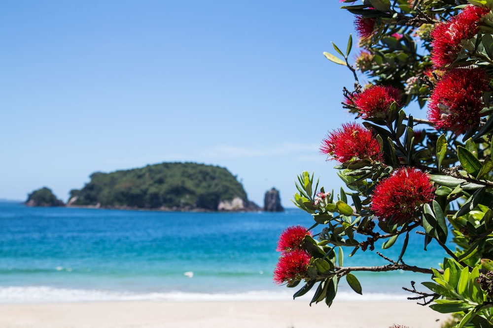 Tasman Holiday Parks - Hahei 57/71
