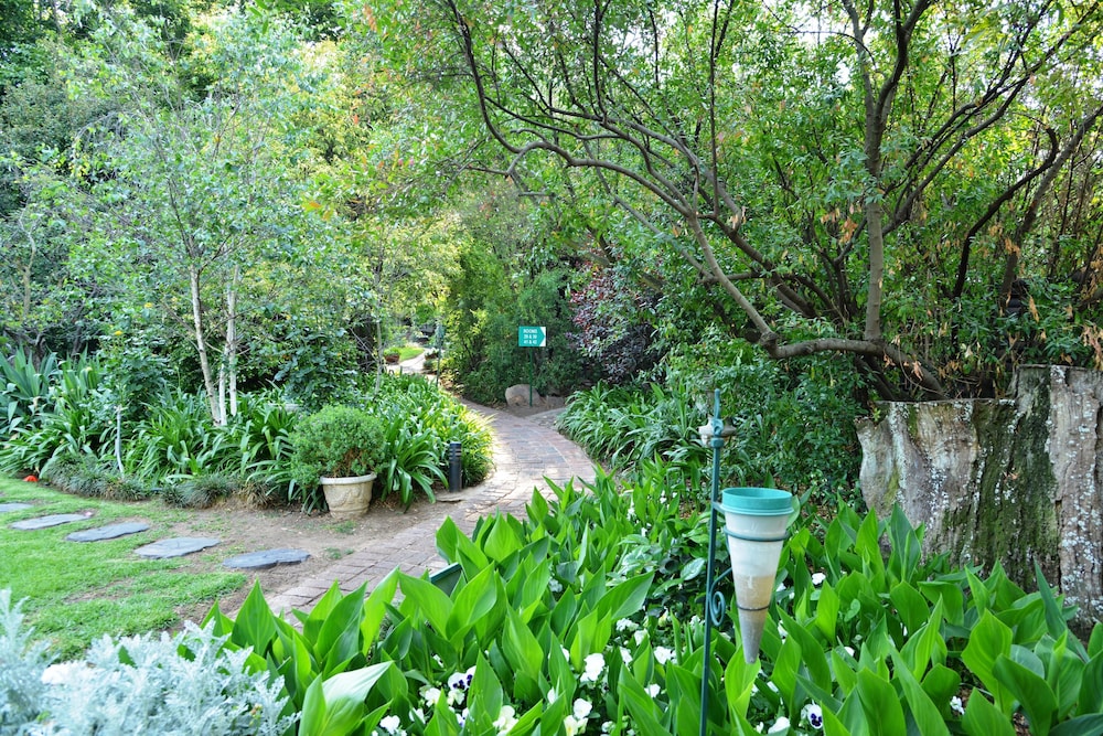 Rivonia Bed And Breakfast Garden Estate 44/49