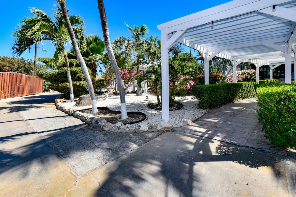 Aruba Blue Village 24/49