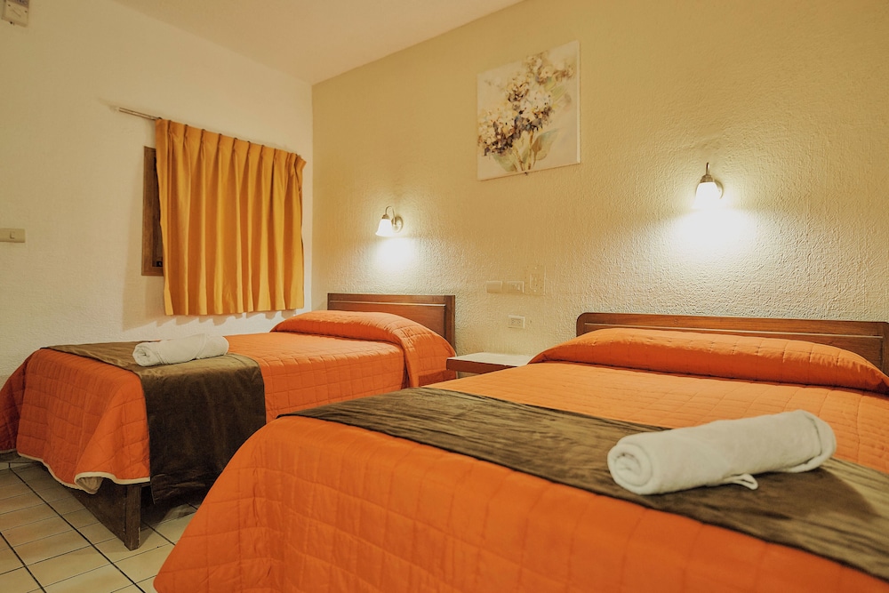 Hotel Cervantino 17/50