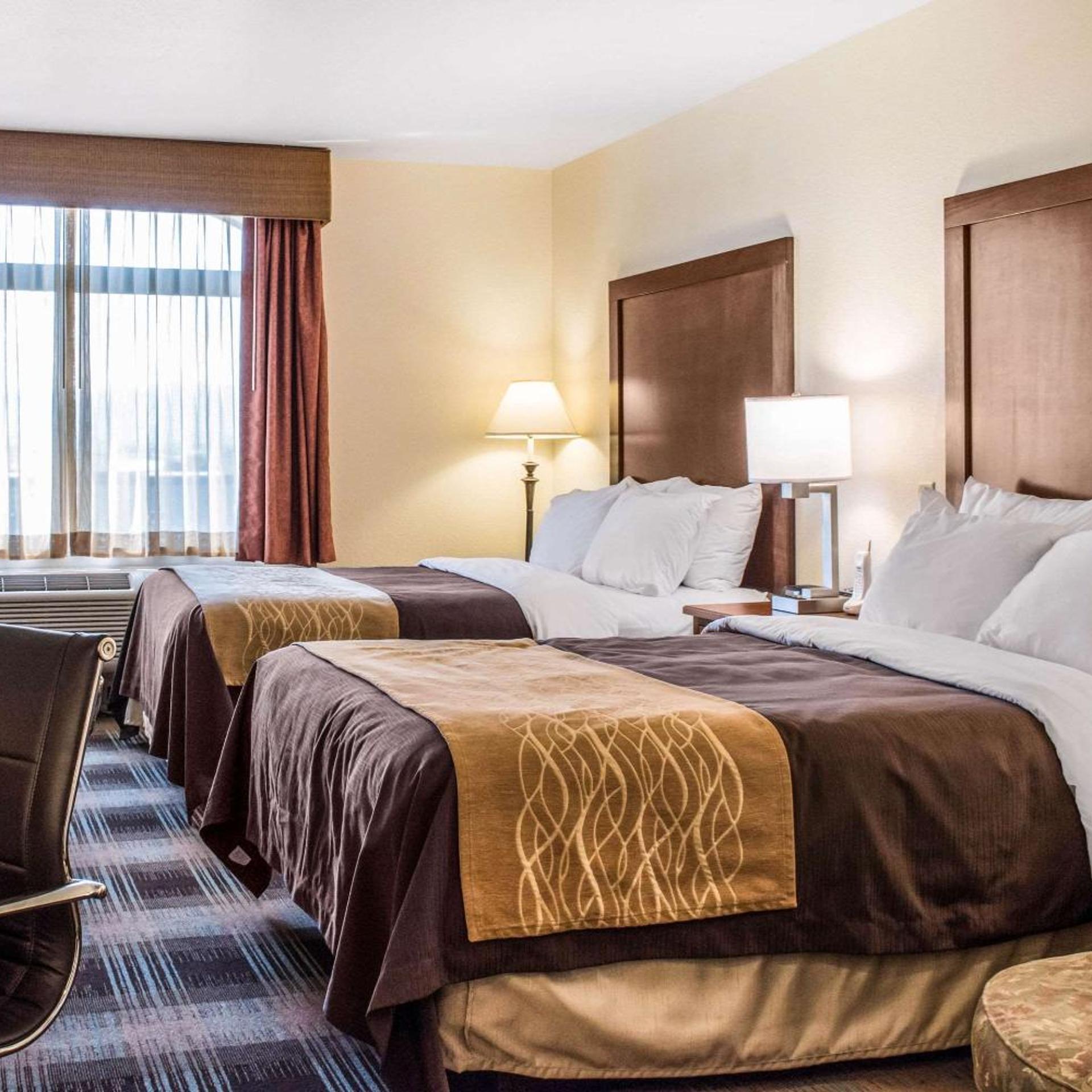 Room, 2 Double Beds