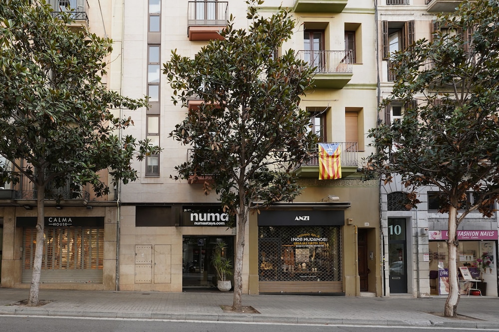 Numa | Brio 6/52
