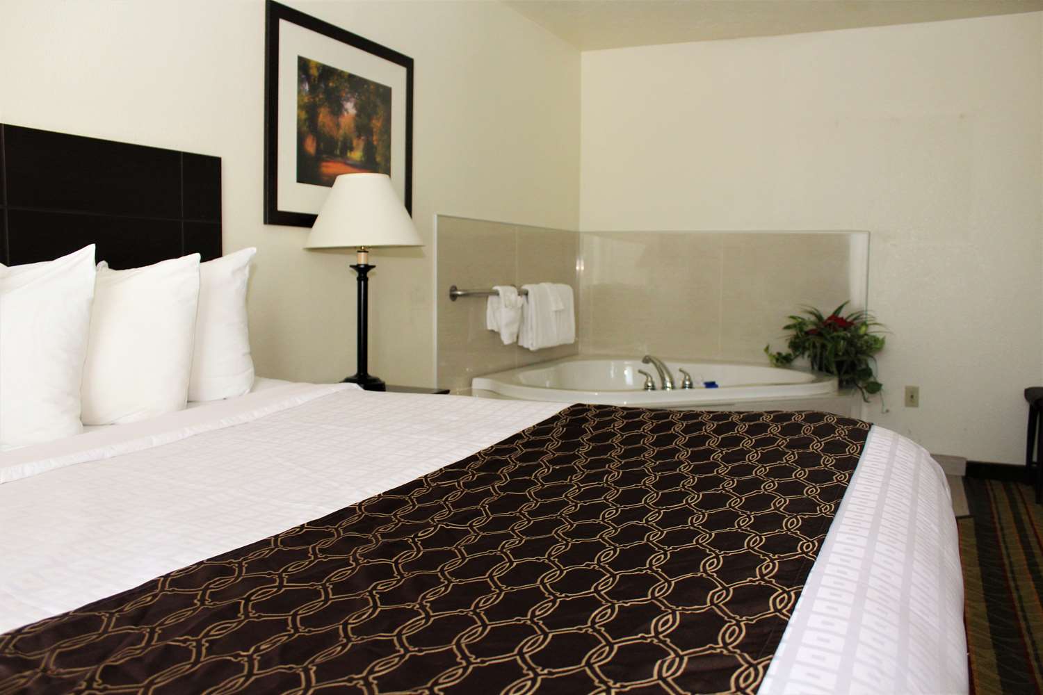 Best Western Visalia Hotel 18/55