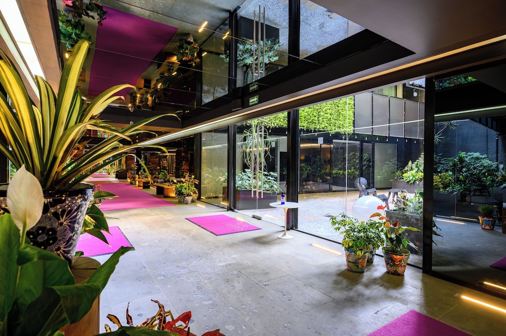 Las Suites 8/67