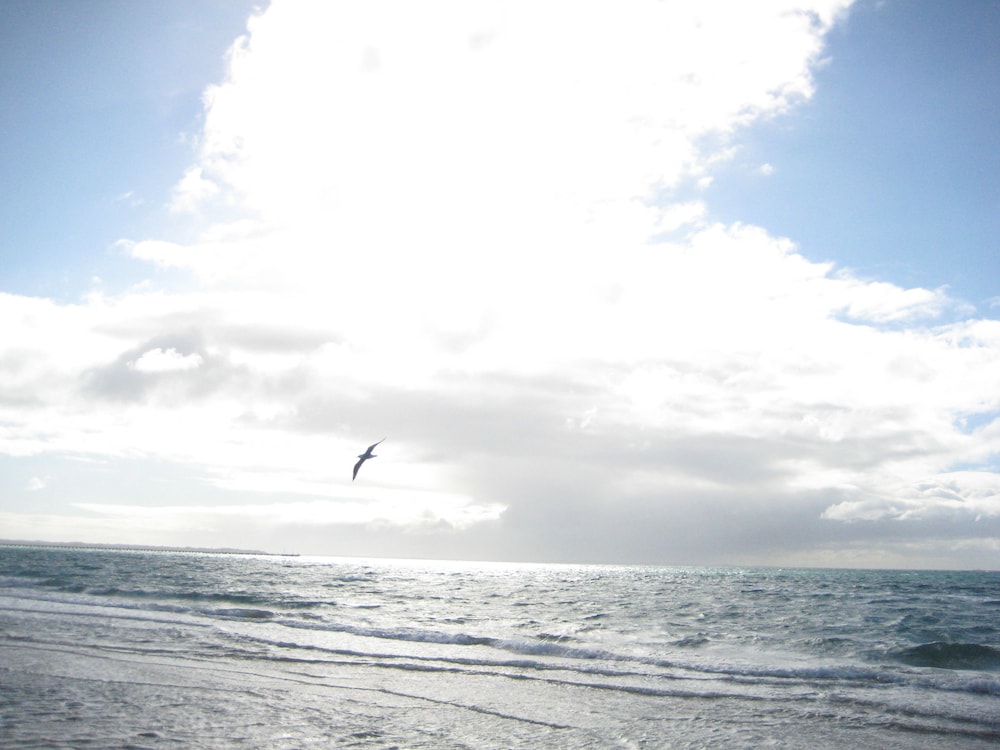 Beachwalk Cottage 29/50