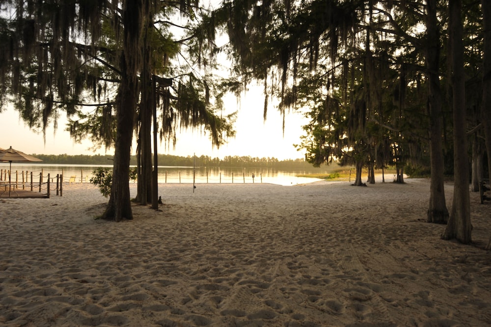 The Cabins at Disney's Fort Wilderness Resort - A Disney Vacation Club Resort 37/43