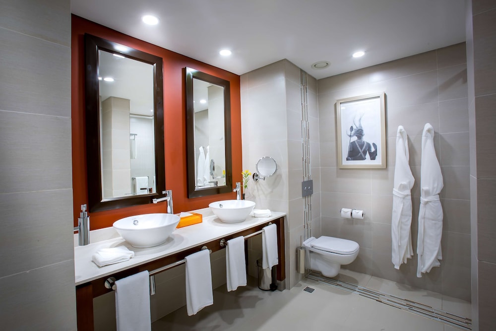 PARK INN BY RADISSON KIGALI 16/65