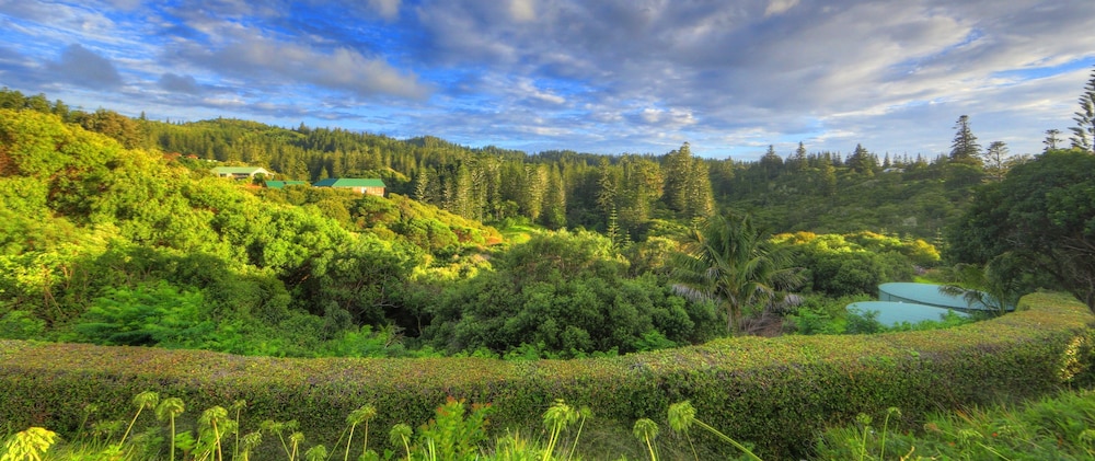 Daydreamer Apartments Norfolk Island 39/50