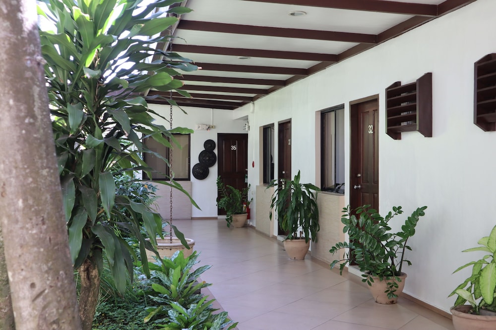 Domicilio Lorenzo Apartelle 3/71