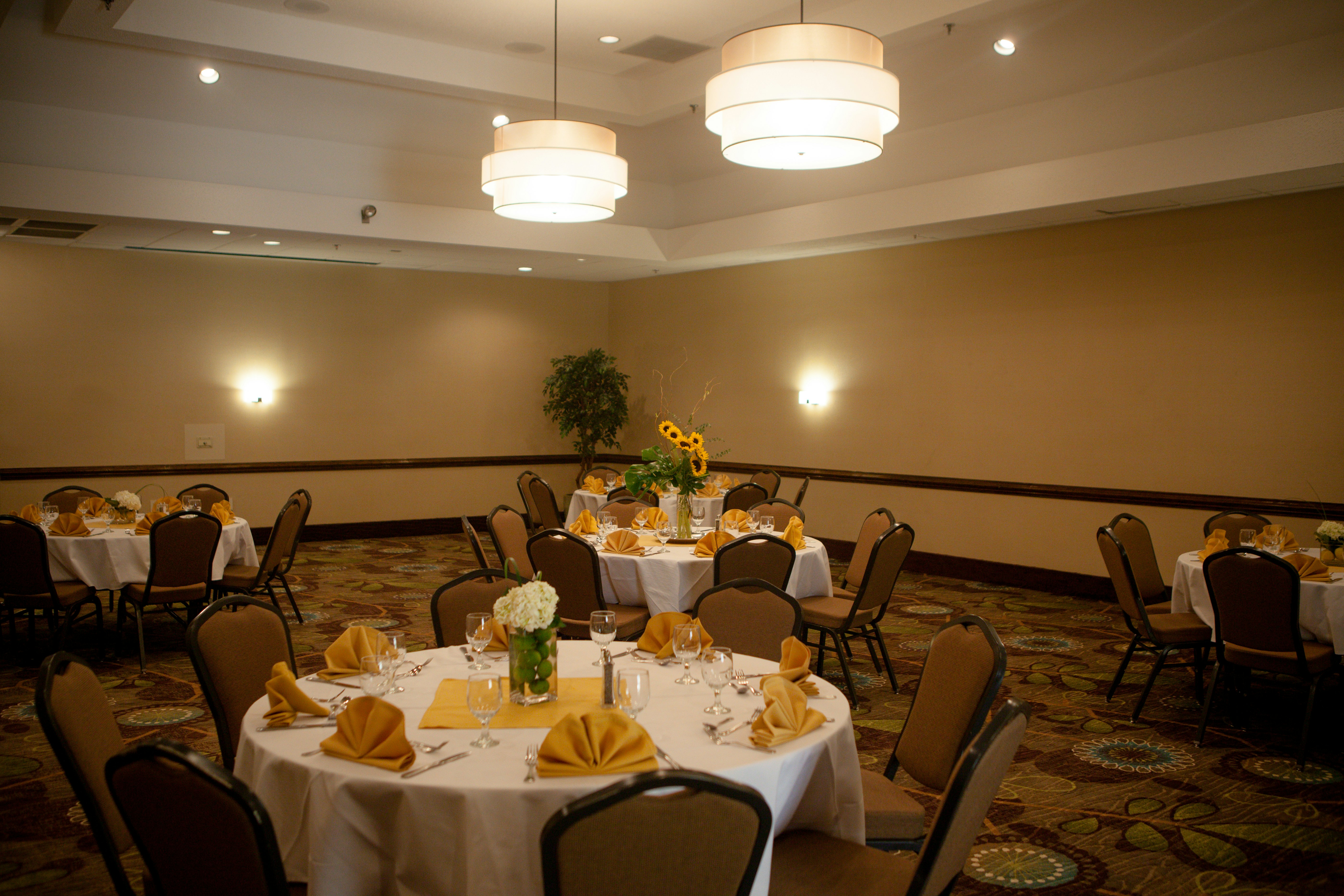 Holiday Inn Greenville 29/39