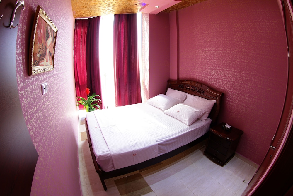 Sochi Palace Hotel 16/64