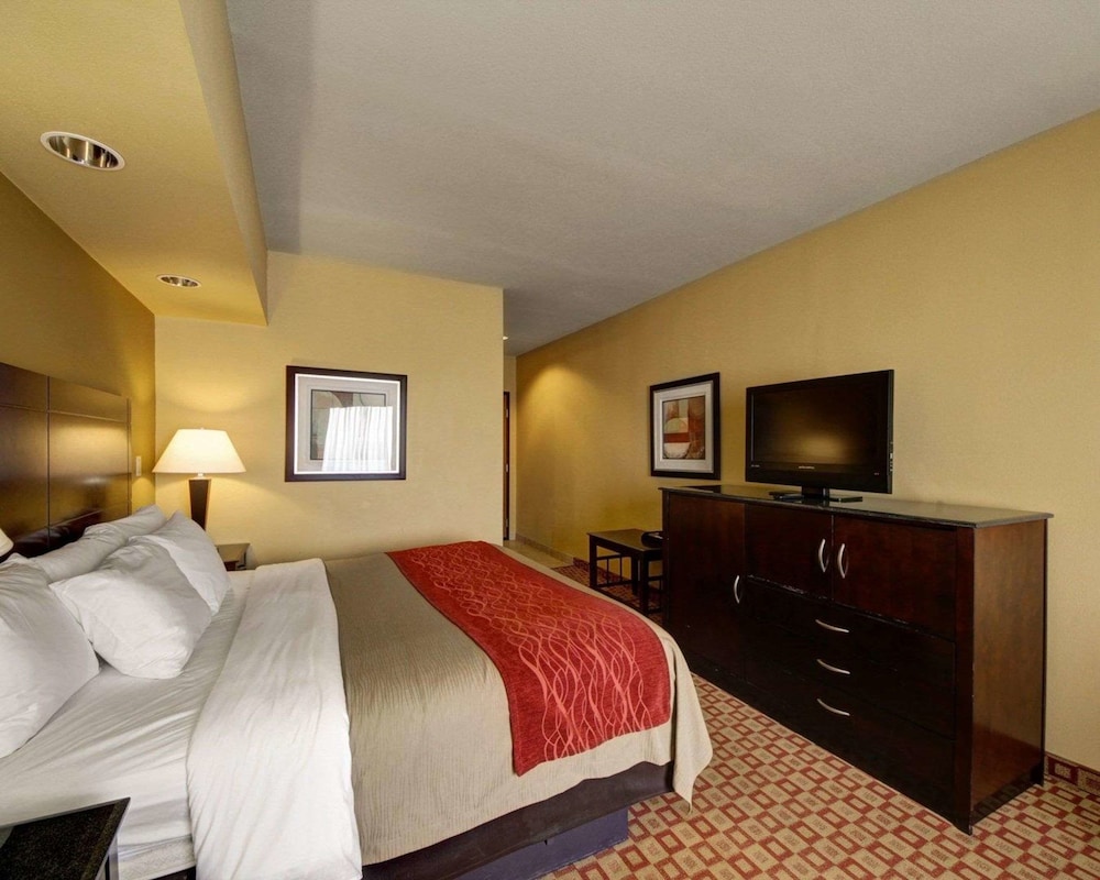 Comfort Inn & Suites Donna Near I-2 17/44