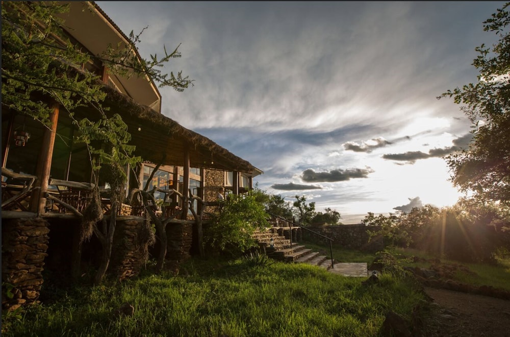 Serengeti Simba Lodge 24/30
