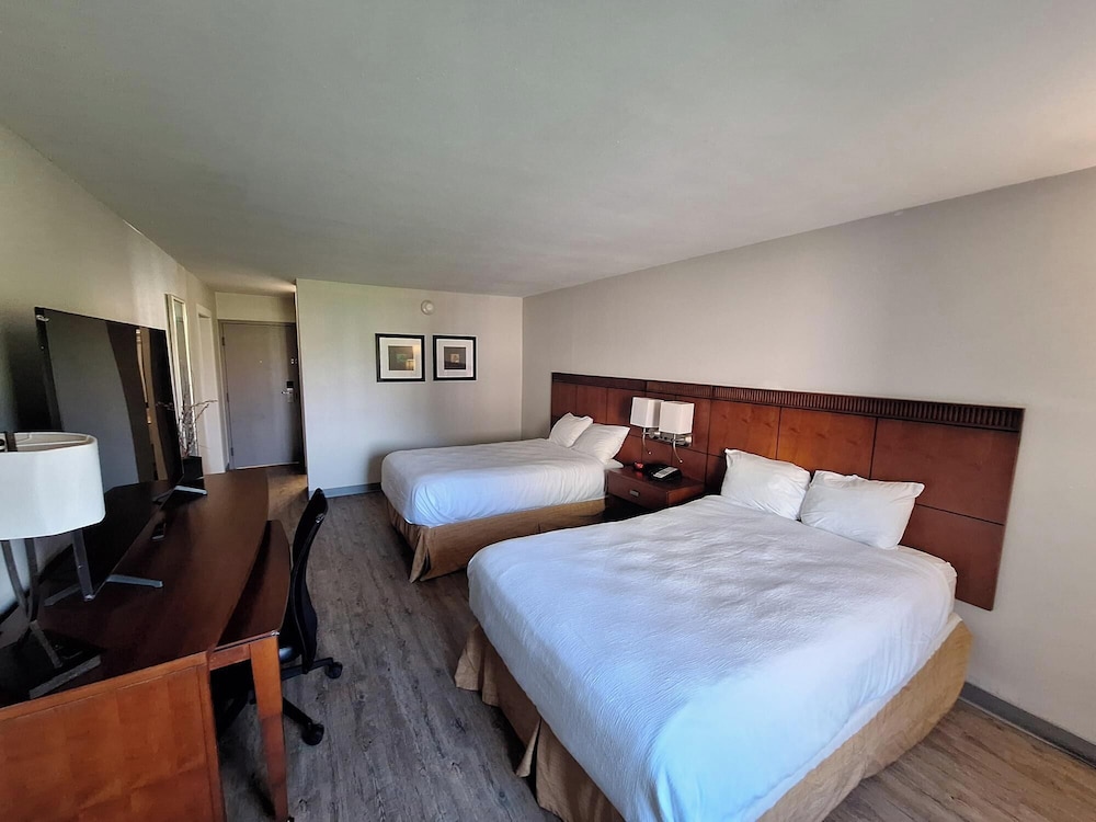 ECONO LODGE AND SUITES(Orange - TX) 18/53