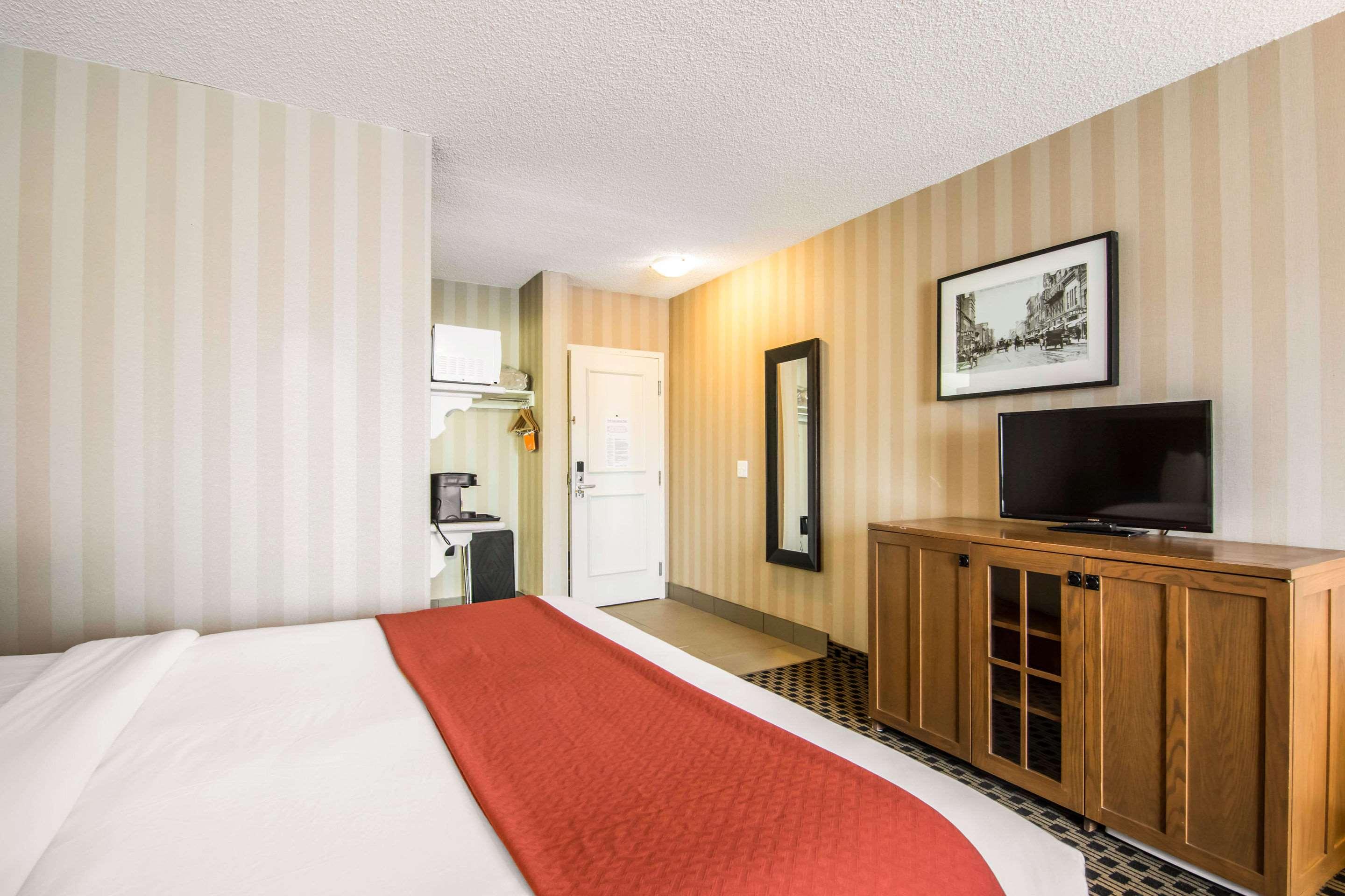 Room, King Bed