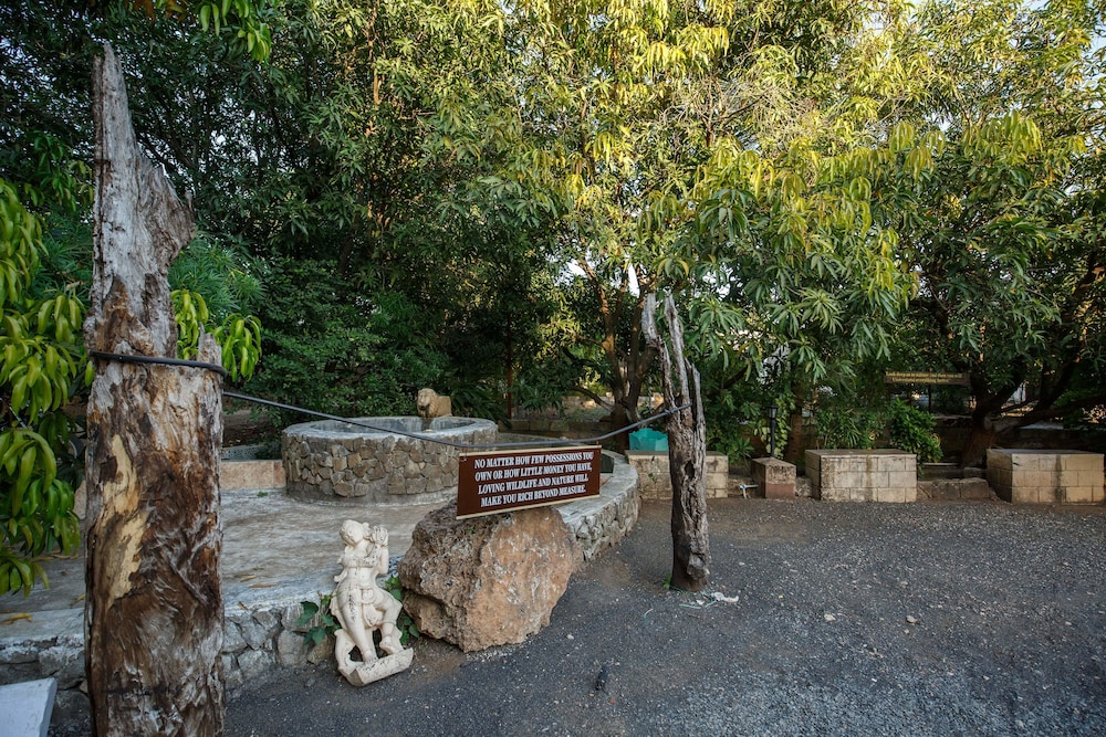 Gir Lion's Paw Resort 30/35