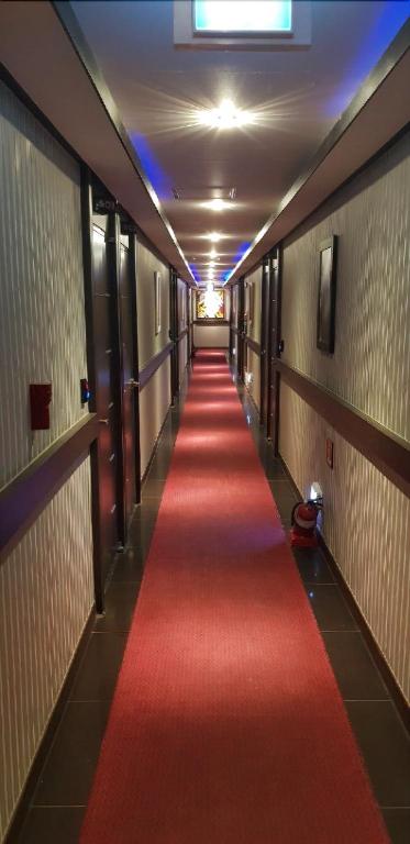 Cats Motel 19/24